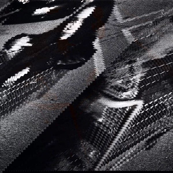 vanessa.julienne image ~ Altpins