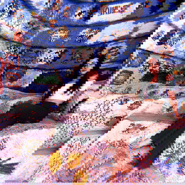 vanessa.julienne image ~ Altpins