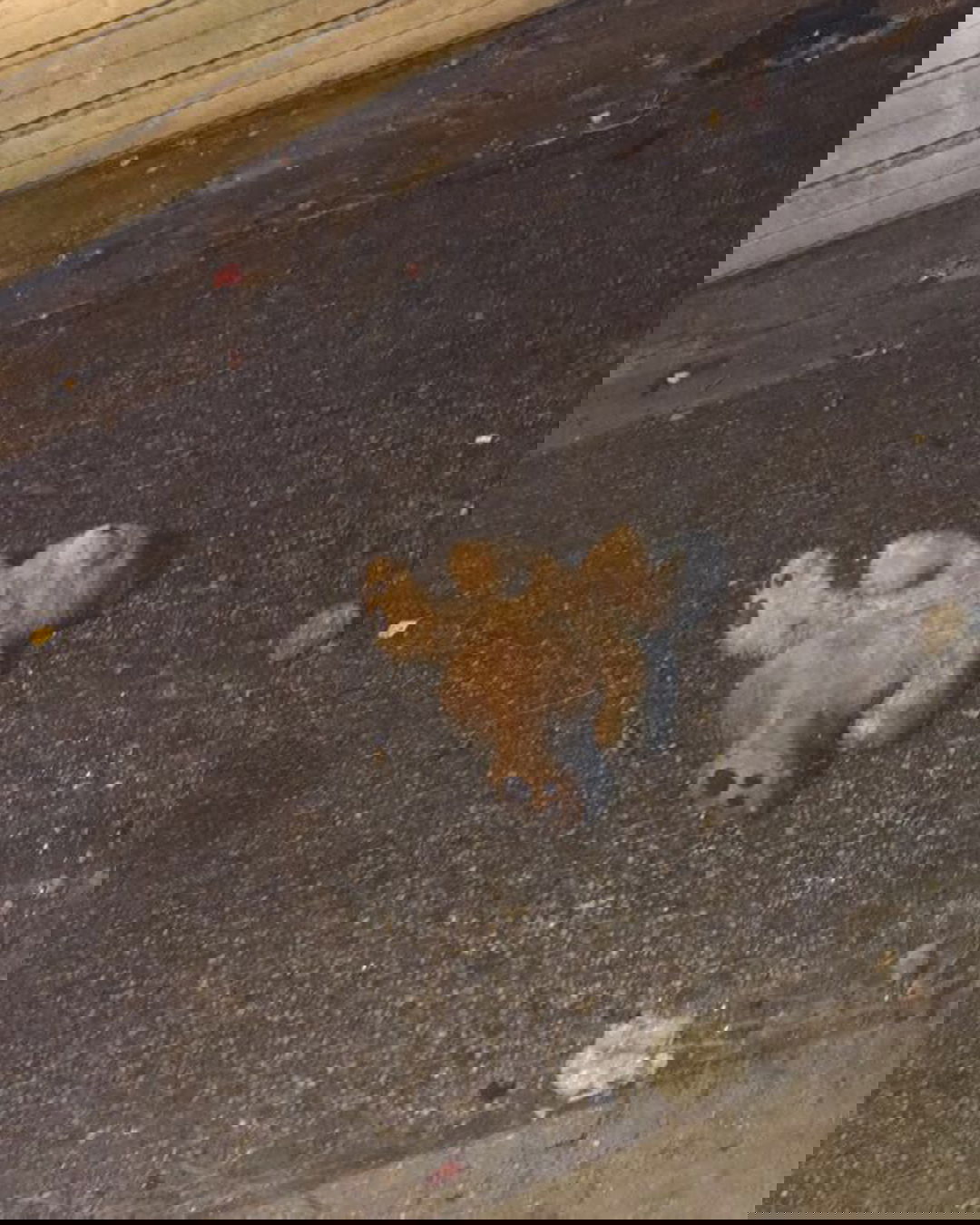 vanessa.julienne instagram image archive image