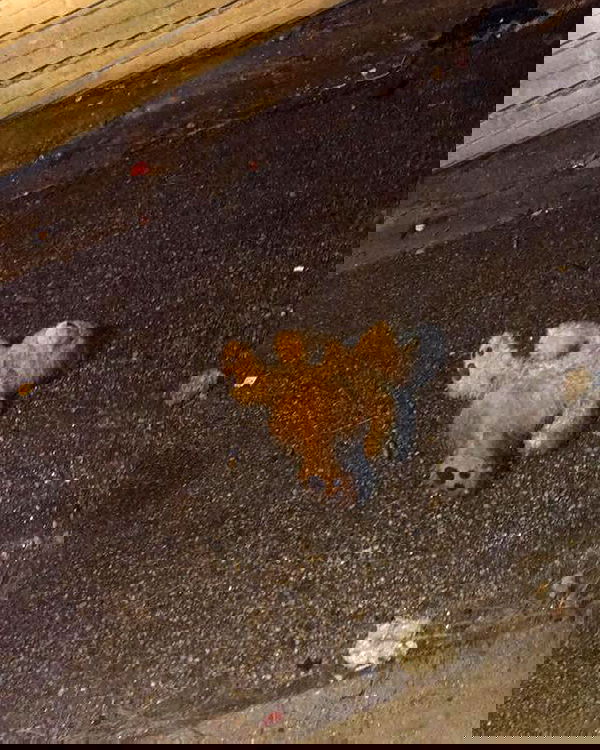 vanessa.julienne image ~ Altpins