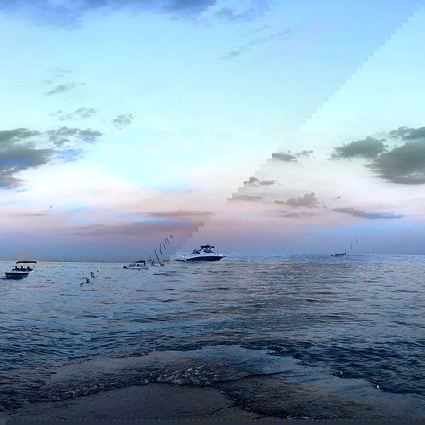 vanessa.julienne image ~ Altpins