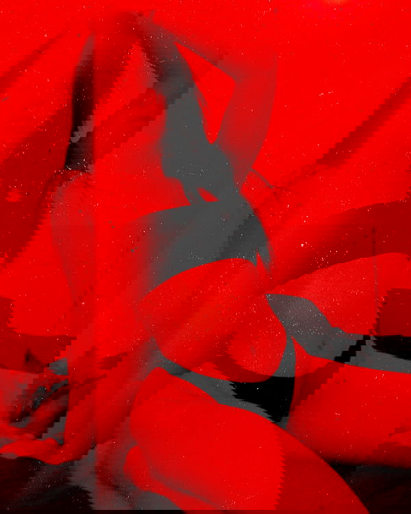 vanessa.julienne image ~ Altpins