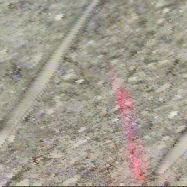 vanessa.julienne instagram image archive image