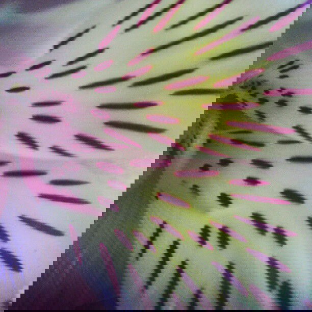 vanessa.julienne instagram image archive image