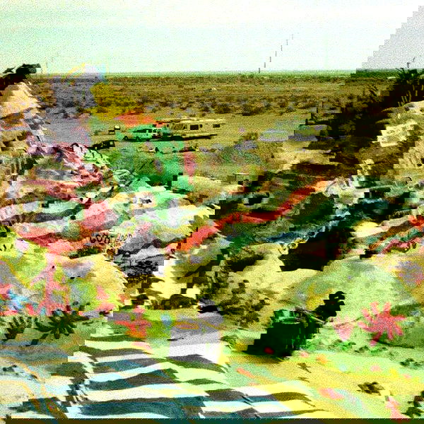 vanessa.julienne image ~ Altpins