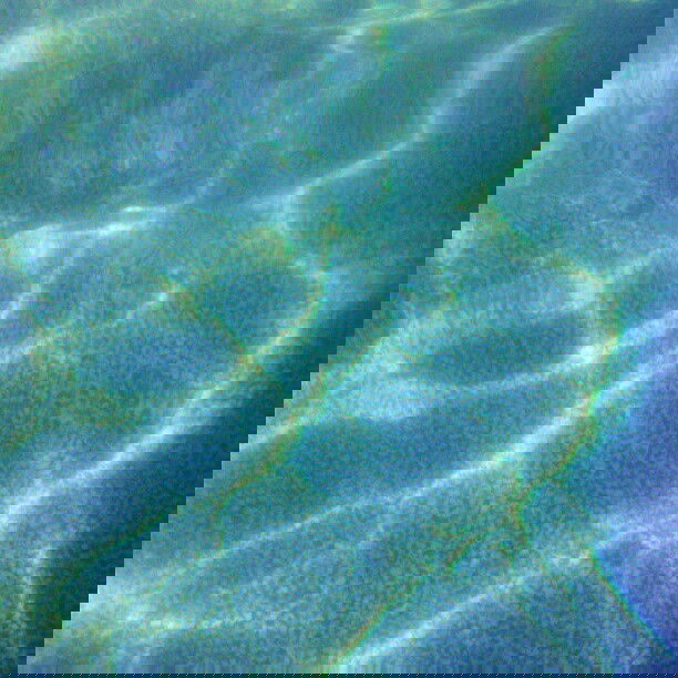 vanessa.julienne instagram image archive image