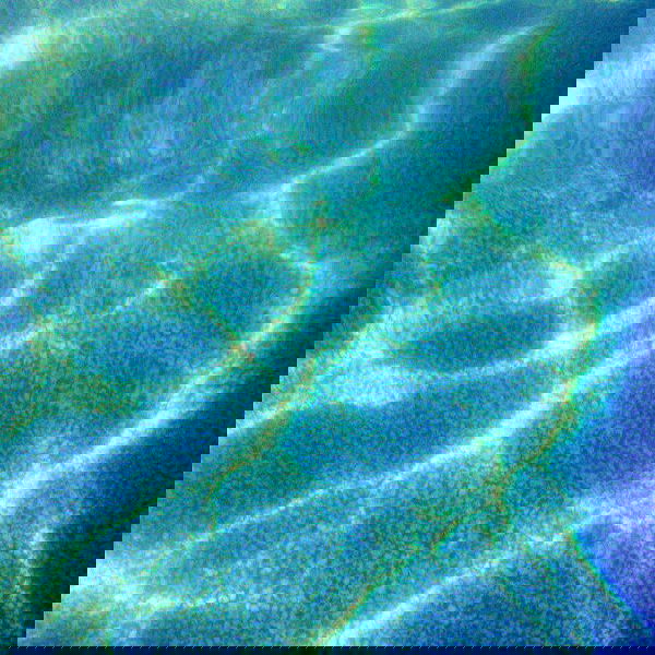 vanessa.julienne image ~ Altpins