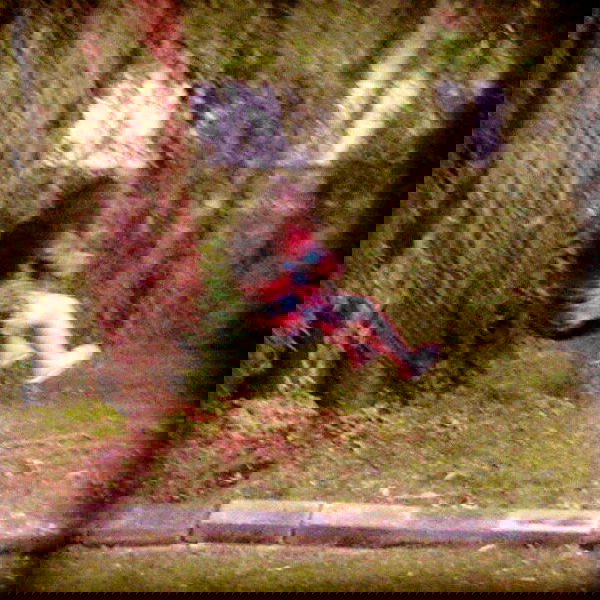 vanessa.julienne image ~ Altpins