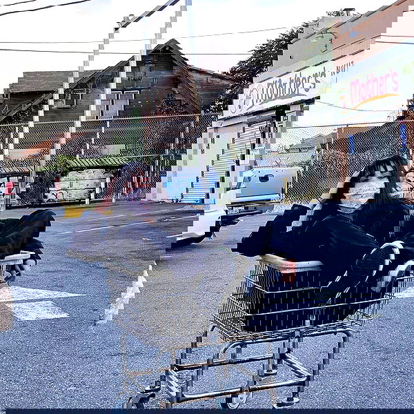 vanessa.julienne image ~ Altpins