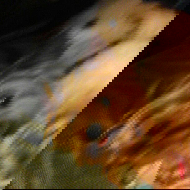 vanessa.julienne instagram image archive image