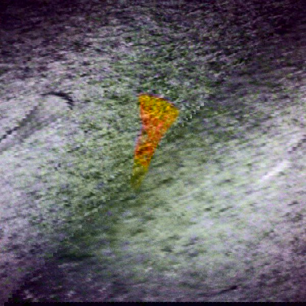 vanessa.julienne image ~ Altpins