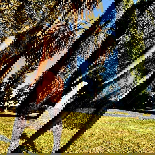 vanessa.julienne image ~ Altpins