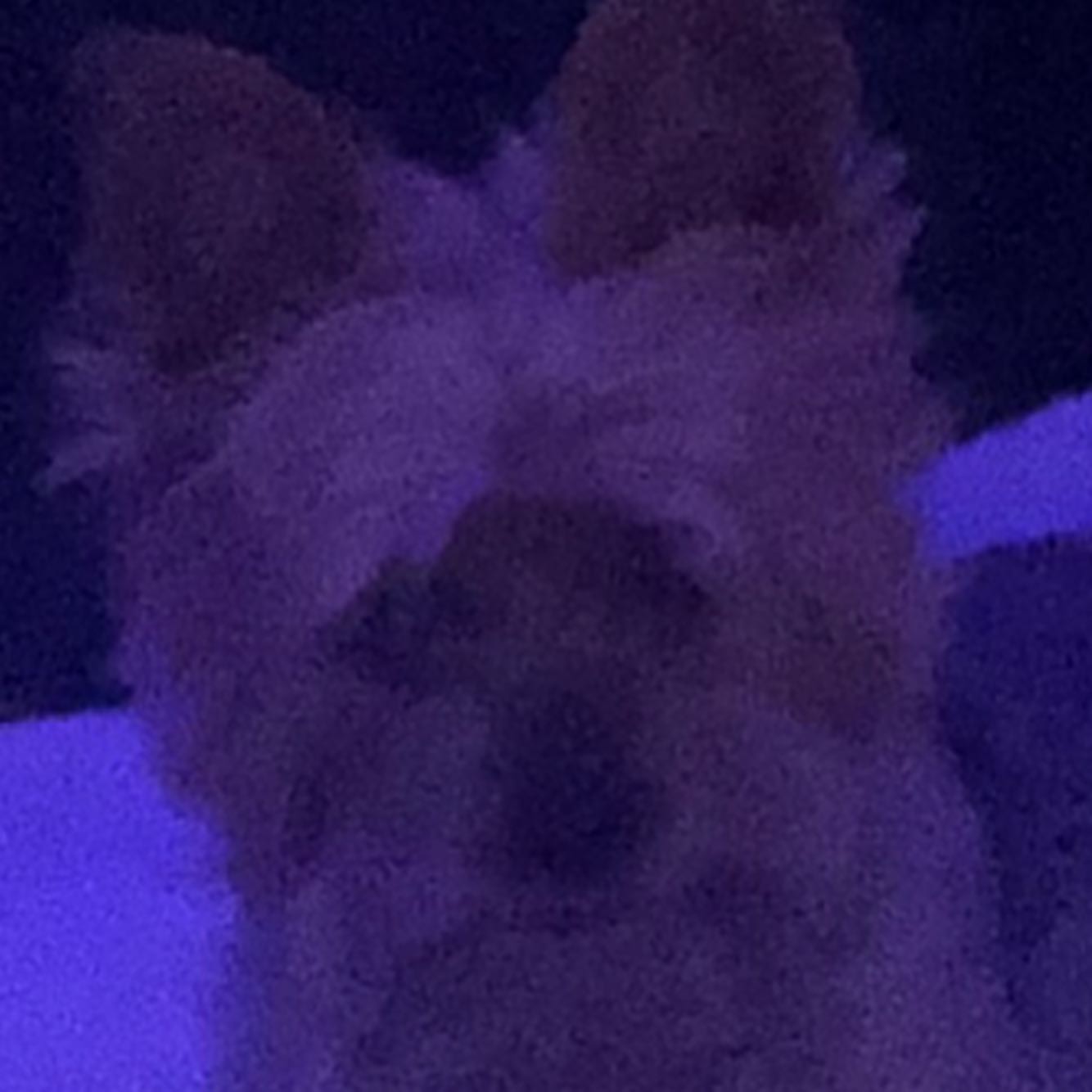 vanessa.julienne instagram image archive image