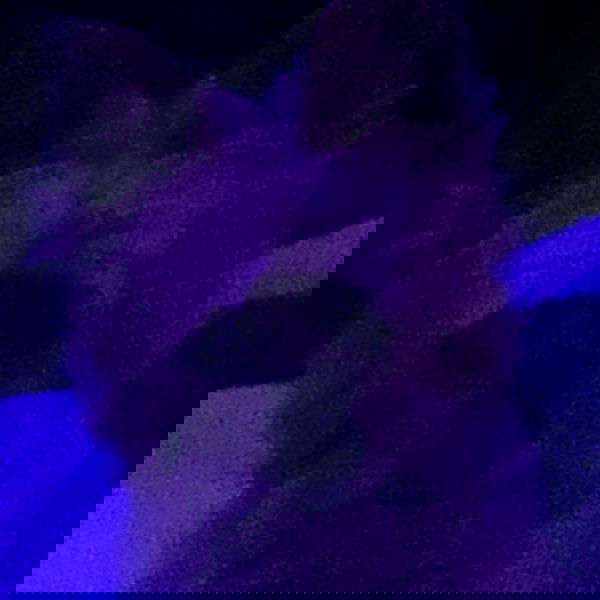 vanessa.julienne image ~ Altpins