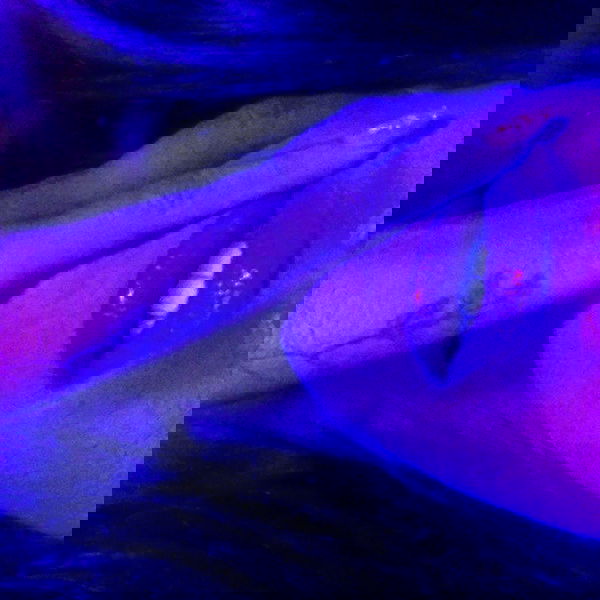 vanessa.julienne image ~ Altpins