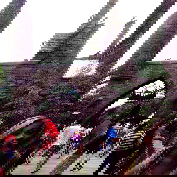 vanessa.julienne image ~ Altpins