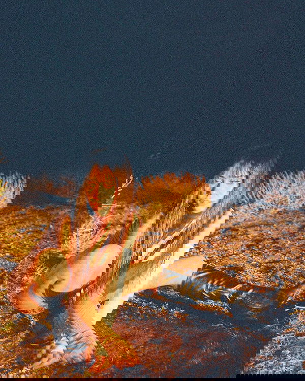 vanessa.julienne image ~ Altpins