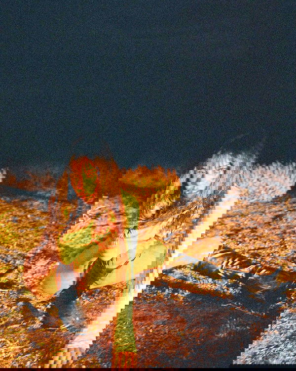 vanessa.julienne image ~ Altpins