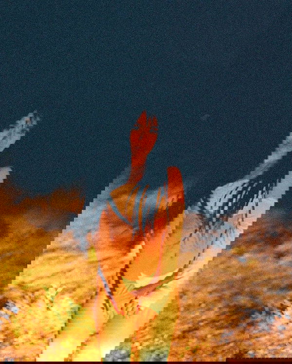 vanessa.julienne image ~ Altpins