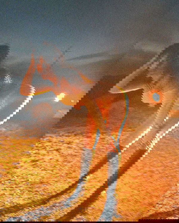 vanessa.julienne image ~ Altpins