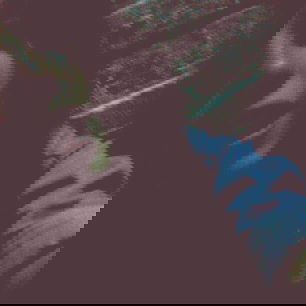 vanessa.julienne instagram image archive image