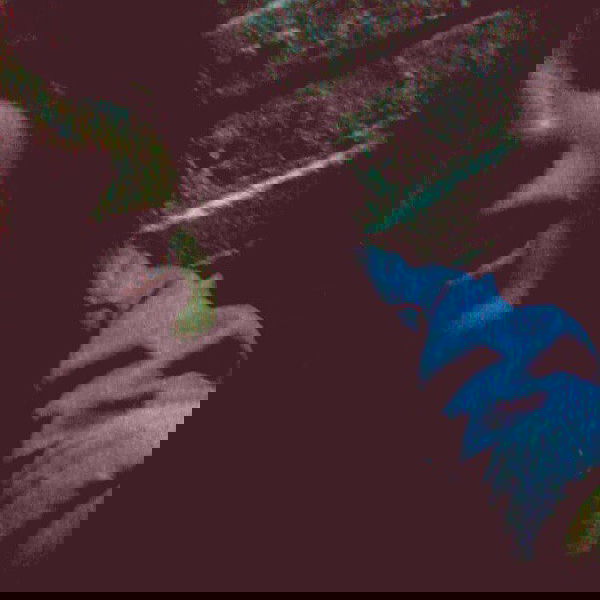 vanessa.julienne image ~ Altpins