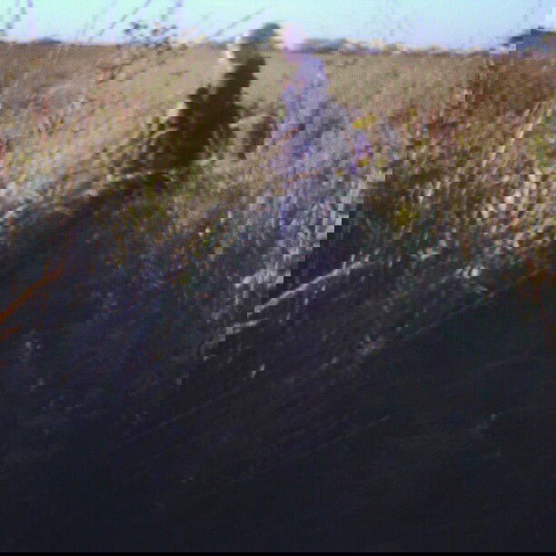 vanessa.julienne instagram image archive image