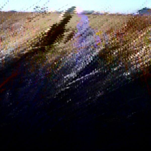 vanessa.julienne image ~ Altpins