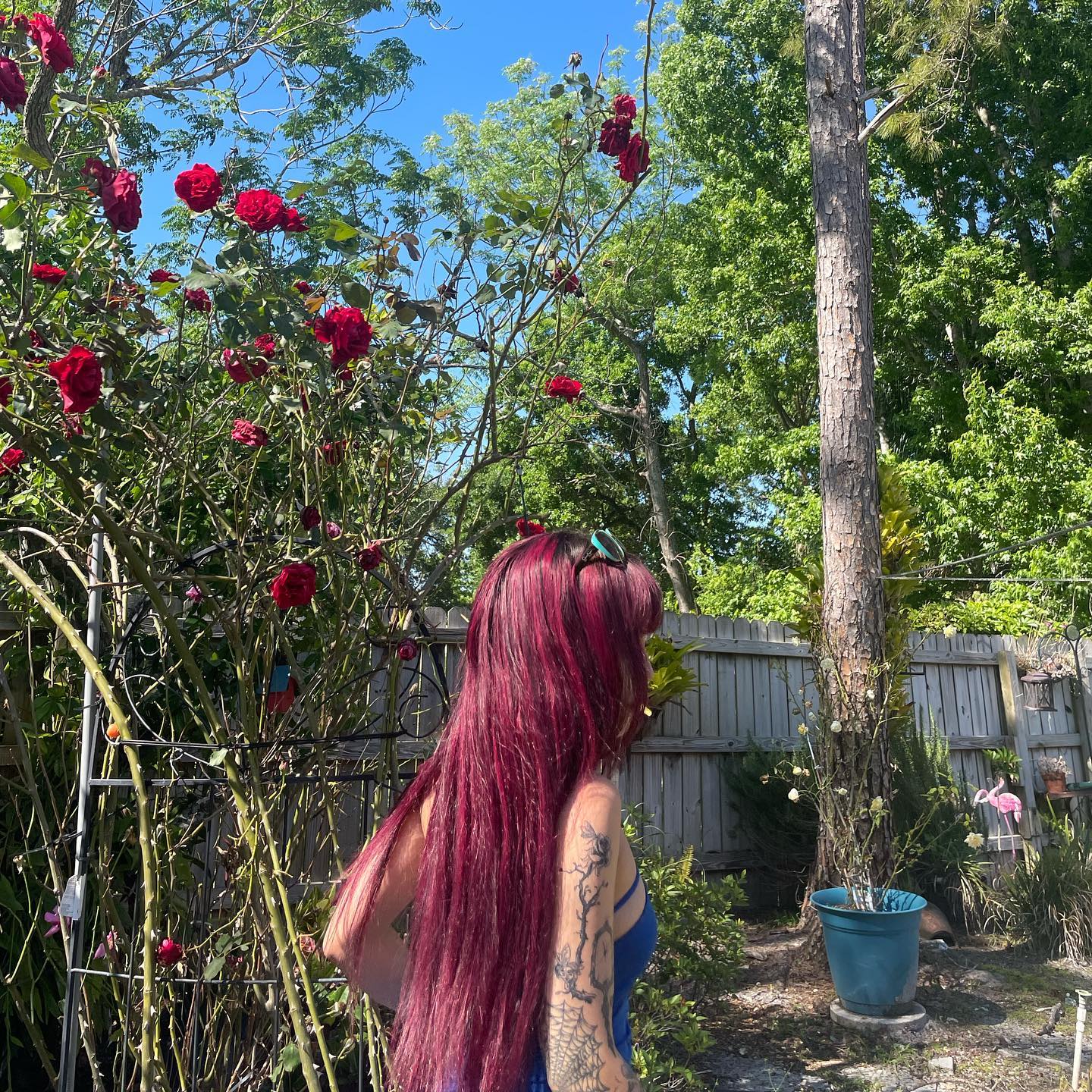 vanessa.julienne instagram image archive image