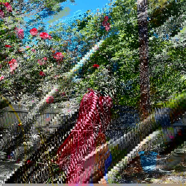 vanessa.julienne image ~ Altpins