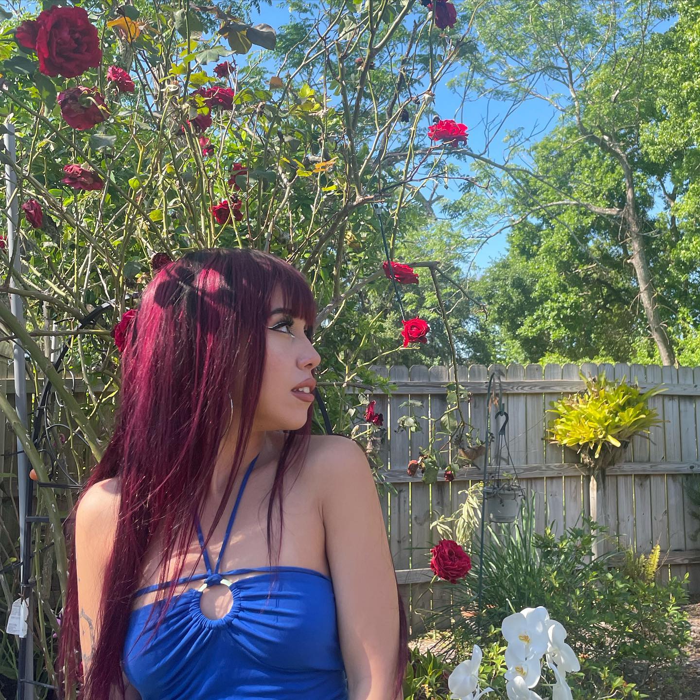 vanessa.julienne instagram image archive image