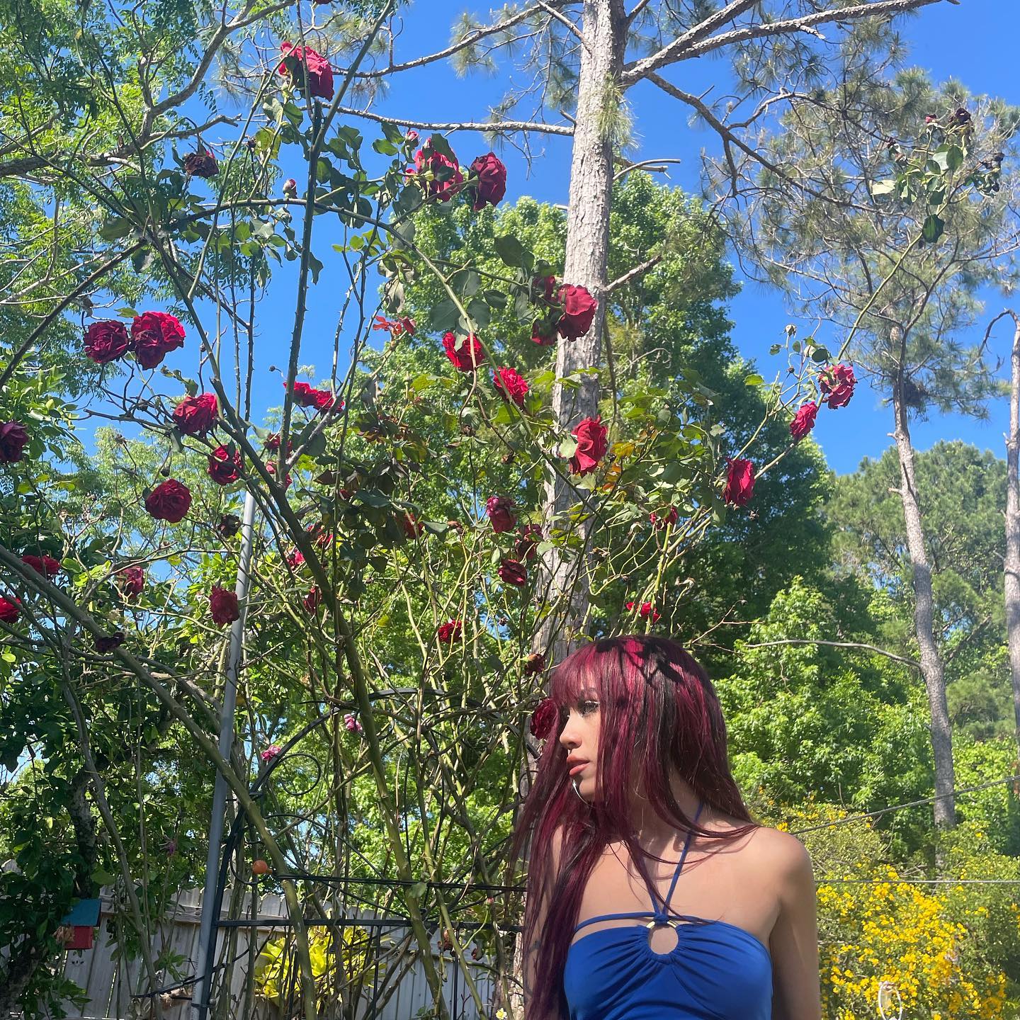 vanessa.julienne instagram image archive image