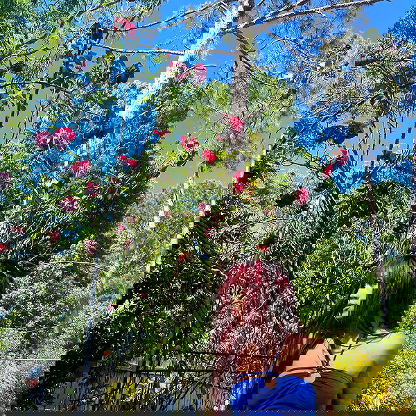 vanessa.julienne image ~ Altpins