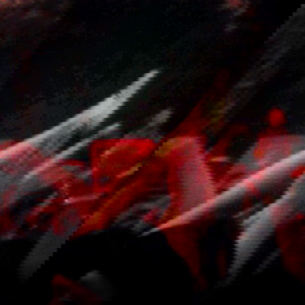 vanessa.julienne image ~ Altpins