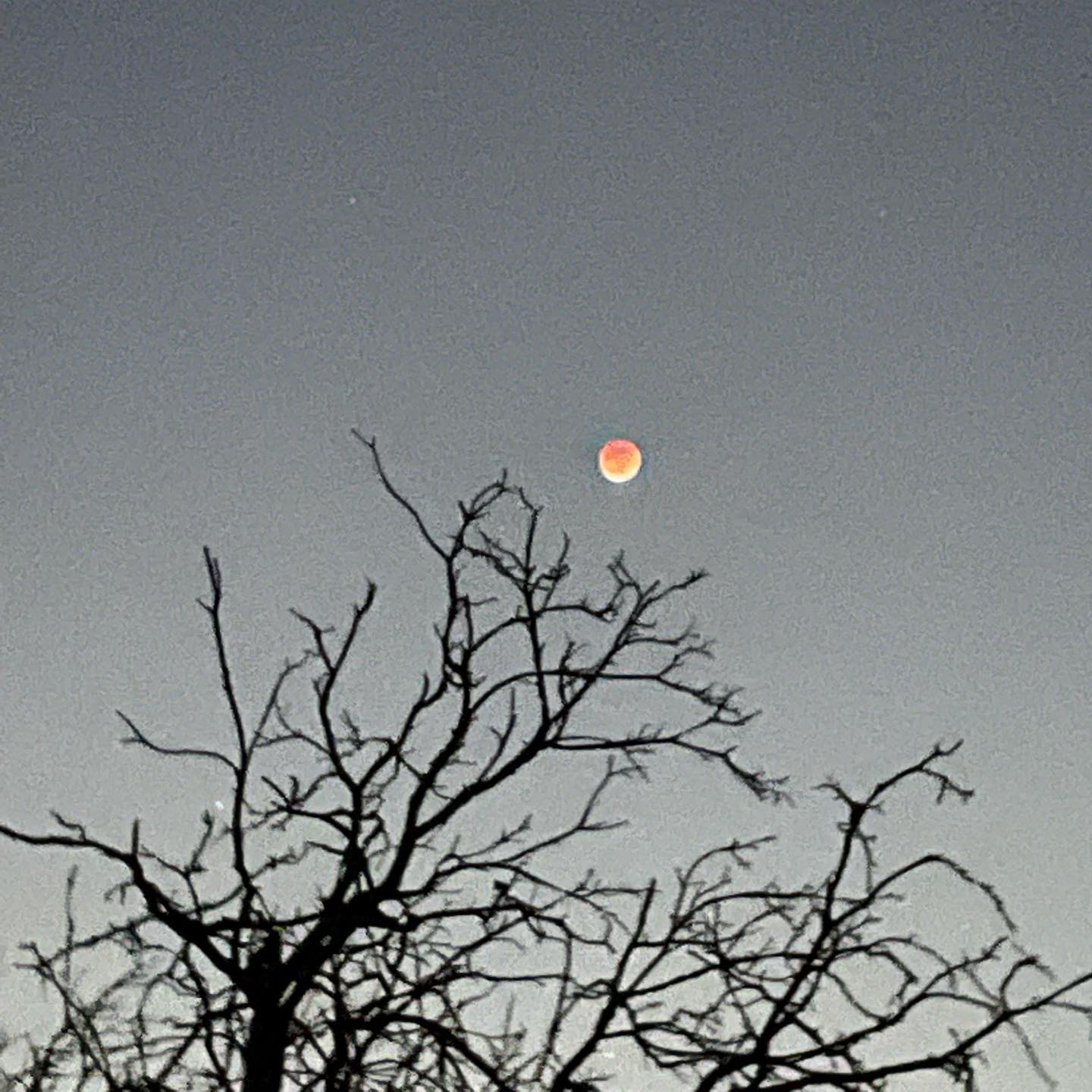 vanessa.julienne instagram image archive image