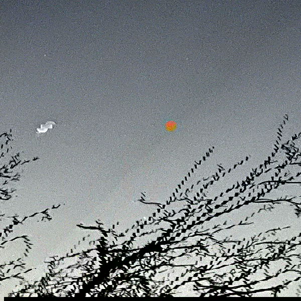 vanessa.julienne image ~ Altpins