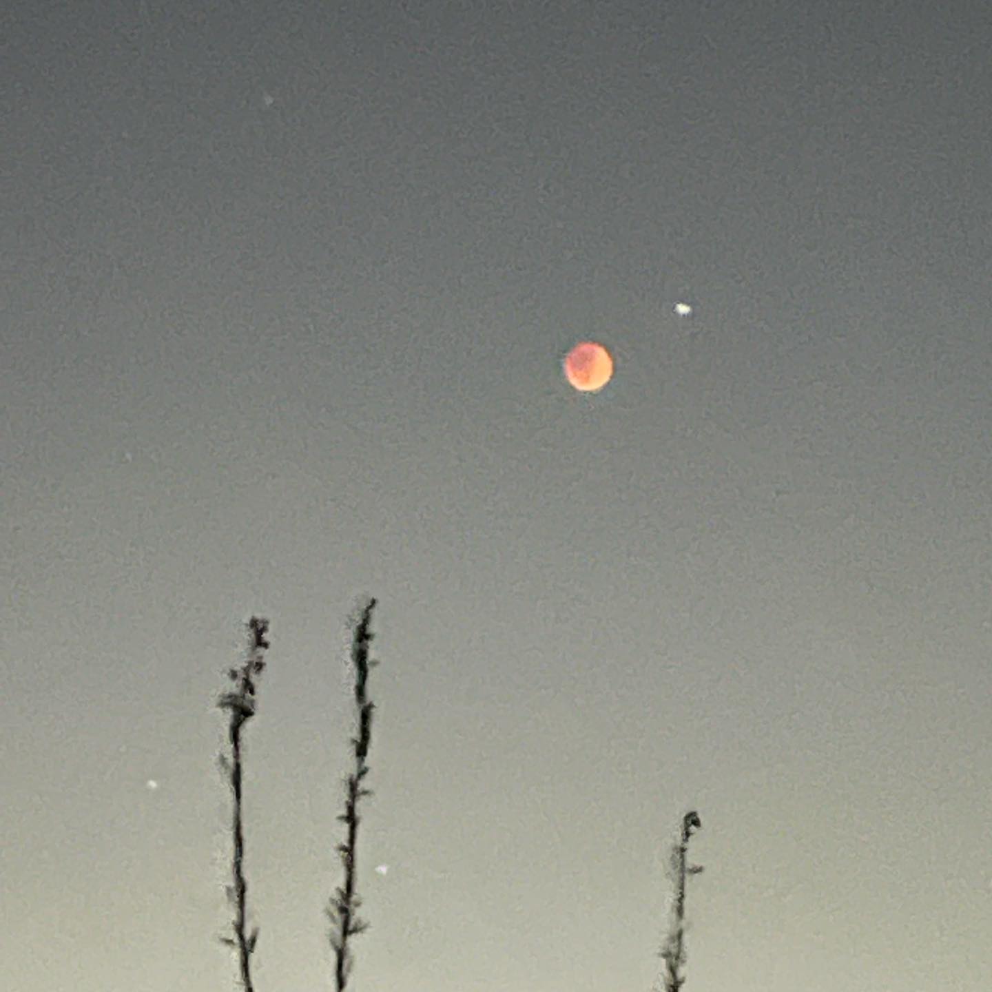 vanessa.julienne instagram image archive image