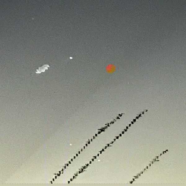 vanessa.julienne image ~ Altpins