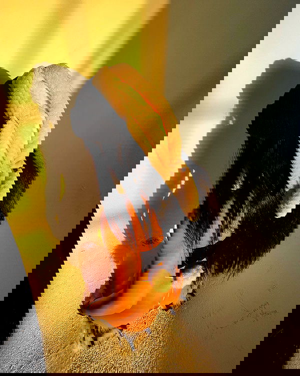 vanessa.julienne image ~ Altpins