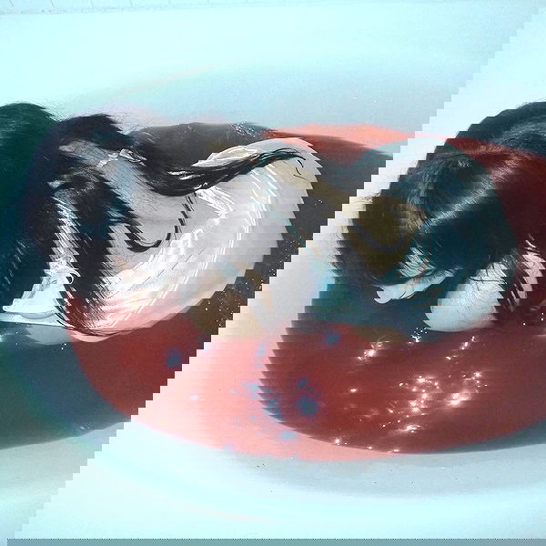 vanessa.julienne image ~ Altpins