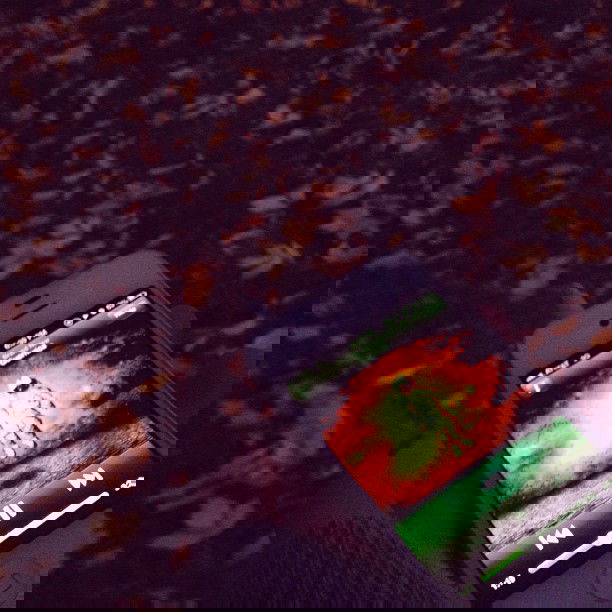 vanessa.julienne instagram image archive image