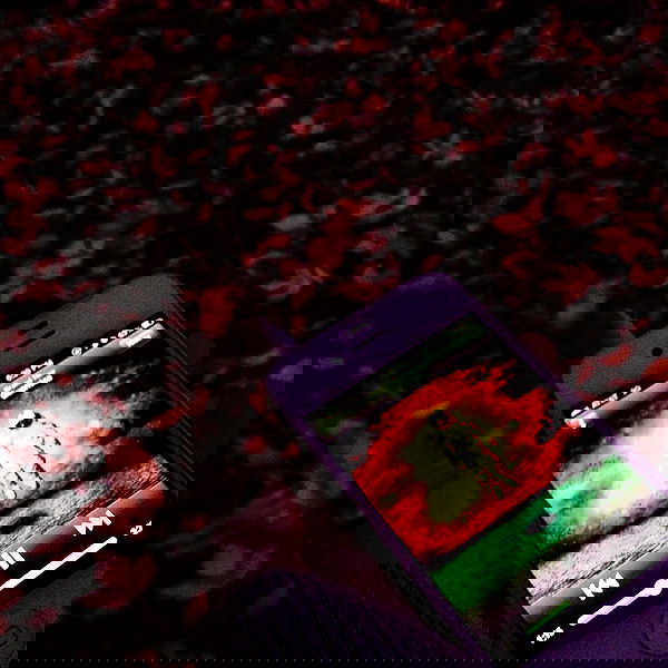 vanessa.julienne image ~ Altpins