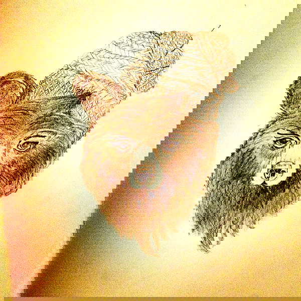 vanessa.julienne image ~ Altpins