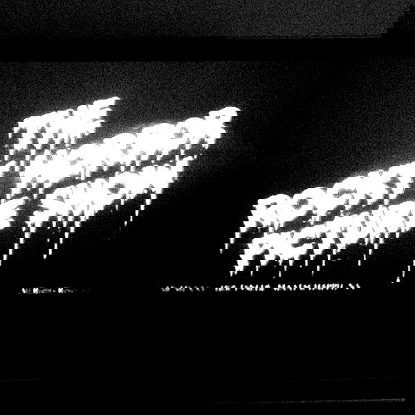 vanessa.julienne image ~ Altpins