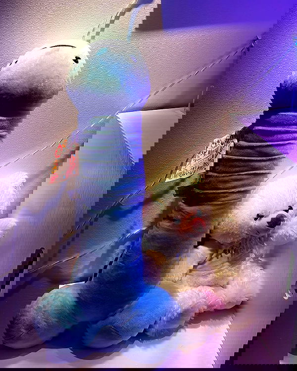 vanessa.julienne image ~ Altpins