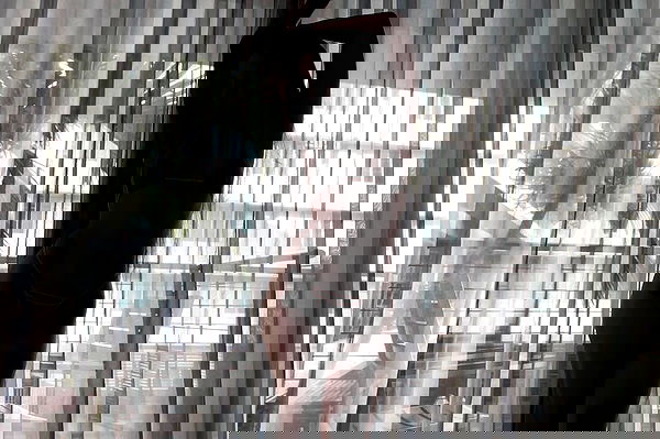 vanessa.julienne image ~ Altpins