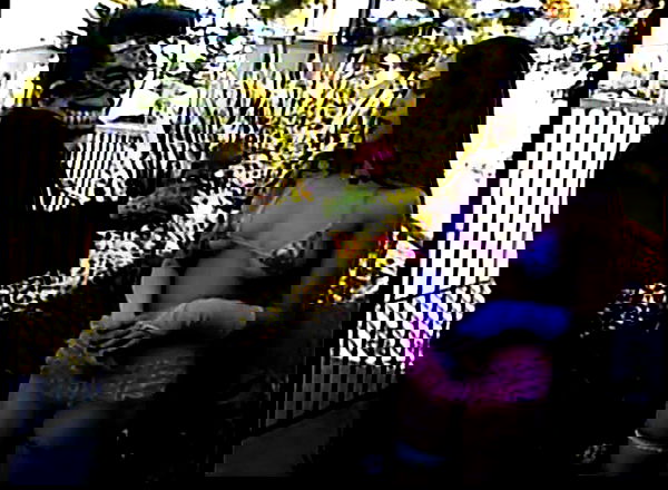 vanessa.julienne image ~ Altpins