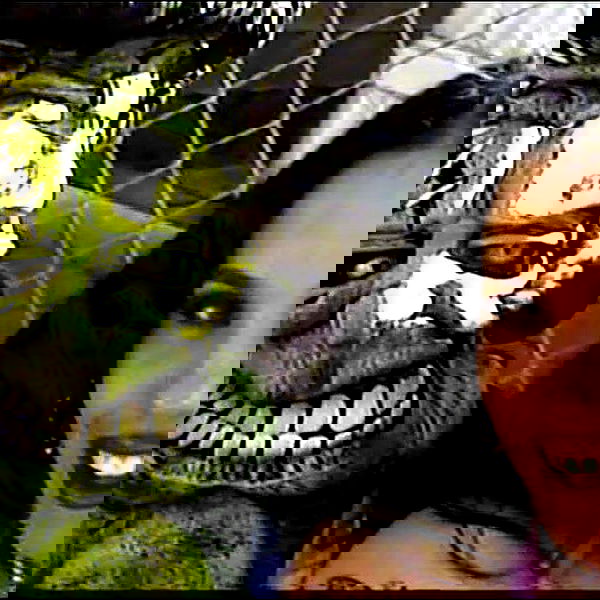 vanessa.julienne image ~ Altpins