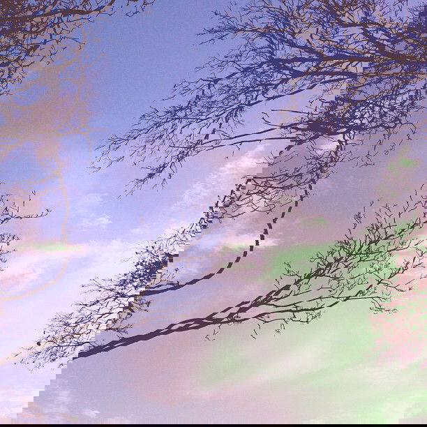 vanessa.julienne instagram image archive image