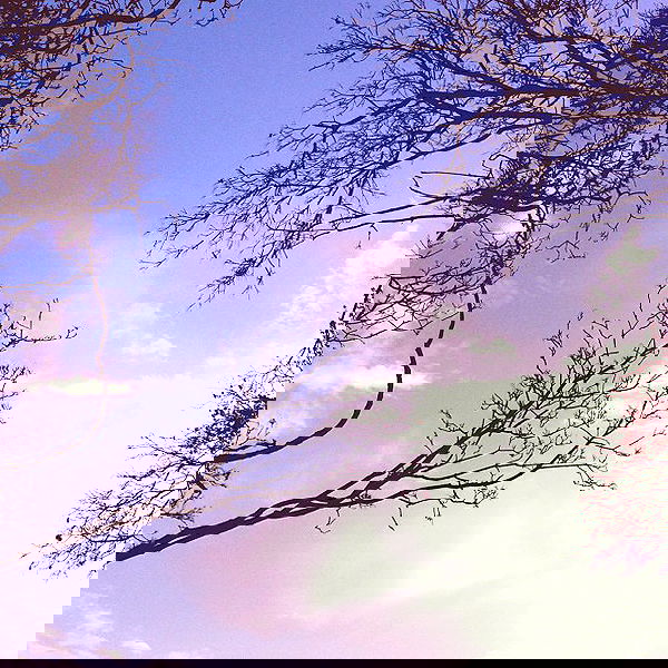 vanessa.julienne image ~ Altpins